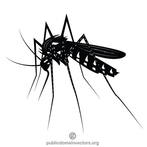 Mosquito Clip Art Graphics Royalty Free Stock Svg Vector And Clip Art