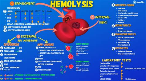 Hemolysis Differential Diagnosis Framework 1 Environment Grepmed