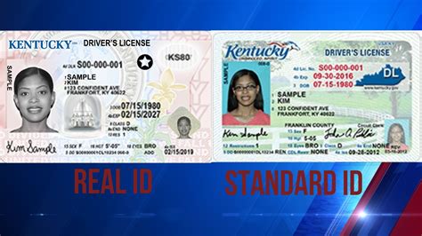 Why You Need To Update Your Drivers License In Kentucky