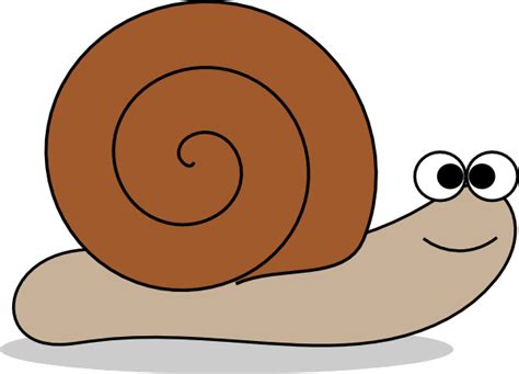 Snail Clip Art At Clker Vector Clip Art Online Royalty Free