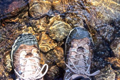 Wet Feet At Brownfield Bog Wondermyway