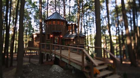 magical dream treehouse treehouse masters   build