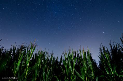 Corn Field At Night Explored Explore 20 On Nov 28 20 Flickr