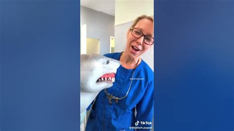 Shark Puppet Dentist Youtube