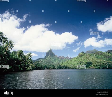Cooks Bay Moorea Society Islands French Polynesia South Pacific