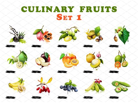 Culinary Fruits Set Part 1 Culinary Fruit American Chestnut