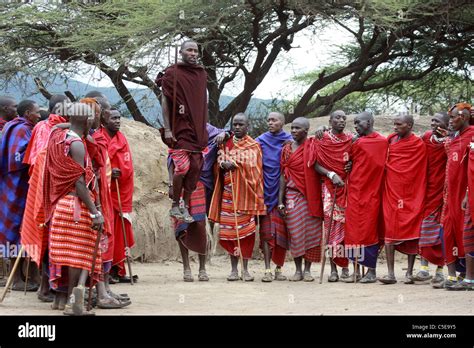 Africa Tanzania Maasai Tribe An Ethnic Group Of Semi Nomadic People