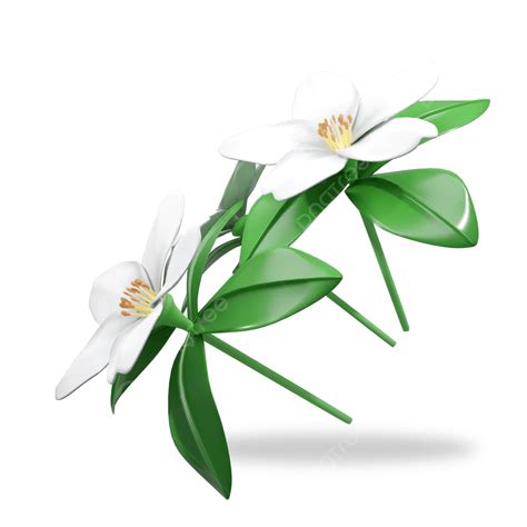 Side View Png Picture Floating Jasmine Flower Side View With Rod And