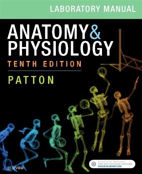 Anatomy And Physiology Laboratory Manual And E Labs Paperback