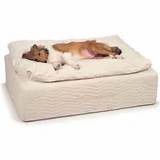 Orthopedic Beds For Dogs