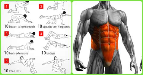 The Three Best Exercises For Your Abs And Back Gym Workout Chart