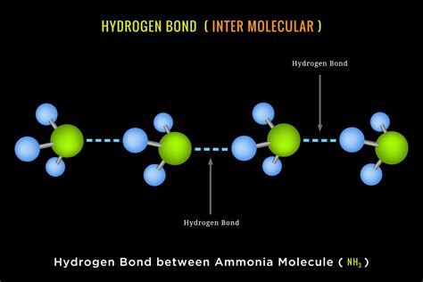 Enlace De Hidrógeno Enlace De Hidrógeno Intermolecular Entre La