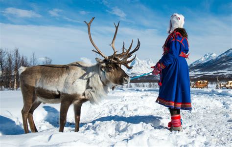 The Sami Reindeer Herders Of Lapland