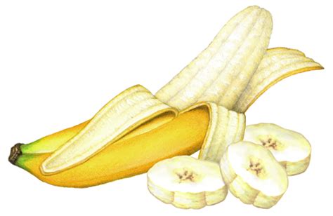Exceptionally Drawn Banana Banana Painting Banana Art Fruit