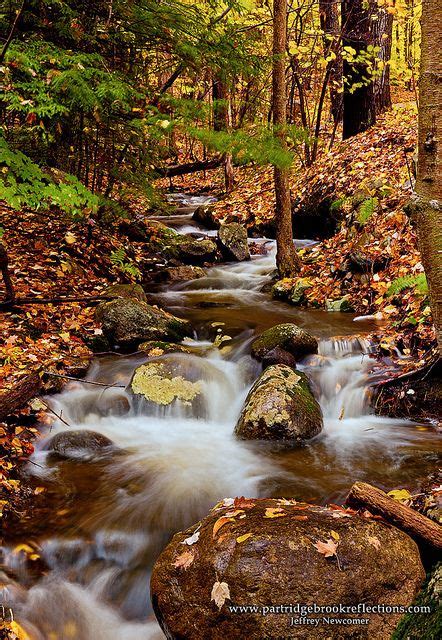 Gulf Brook Autumn Nature Images Beautiful Pictures Outdoor