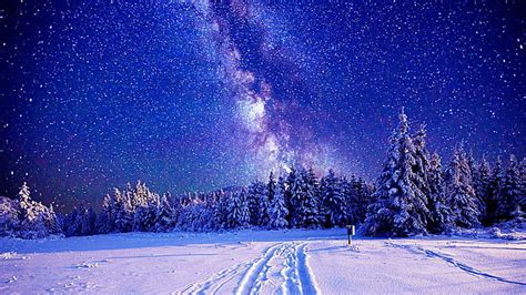Hd Wallpaper Starry Night Silhouette Stars Forest Darkness Milky