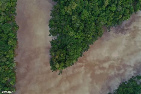 Birds Eye View Drone Photos Of The Amazon Rainforest Insider