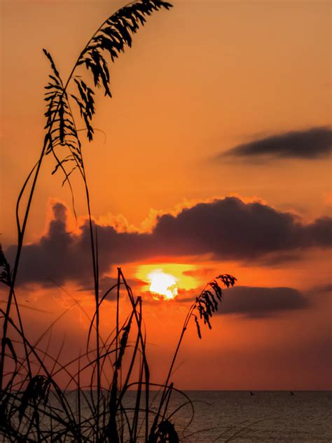Sunrise Over The Horizon Photograph By Zina Stromberg Fine Art America