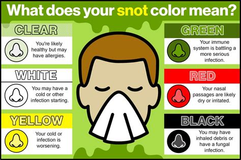What Snot Color Says About Your Health Seemayo