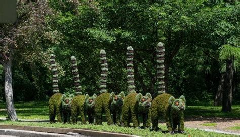 Amazing Plant Sculptures In Mosaiculture Festival In Montreal Canada