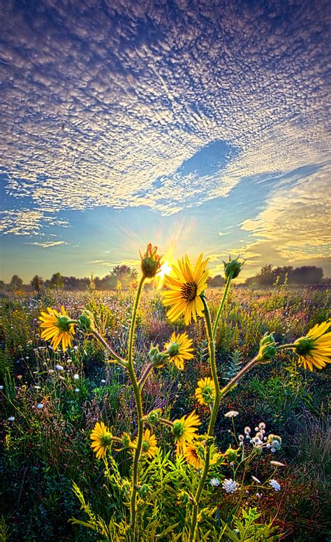 How The Story Goes Wisconsin Horizons By Phil Koch Phil K Flickr