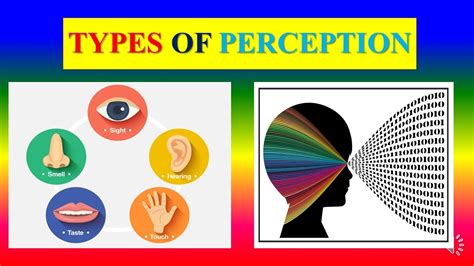 Types Of Perception Applied Psychology For Nursing Youtube