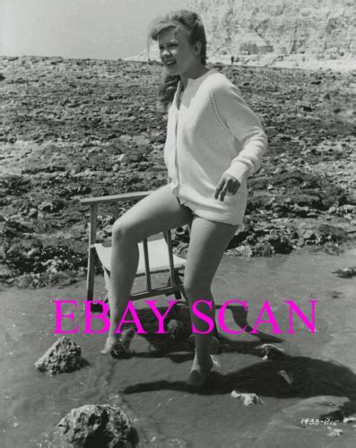Hayley Mills 8x10 Lab Photo Bandw Sexy Legs Portrait The Chalk Garden 1964 Ebay
