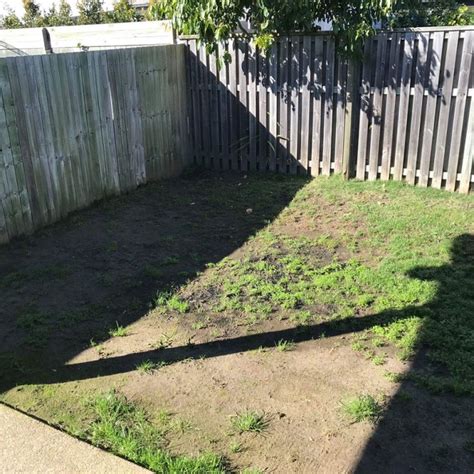 Building & pest inspection services. Poor Drainage and Ponding Issues
