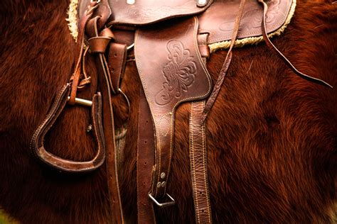 rig  western saddle trailsaddles journal