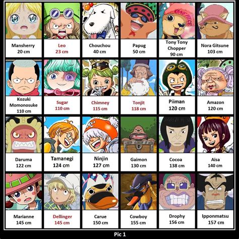 Tuyển Chọn 500 Bộ Hình ảnh Tất Cả Nhân Vật Trong One Piece Wikipedia