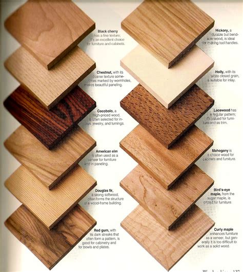 Leave a comment / by admin. Pin by Scott Fraser on Charts & Info-Graphs | Woodworking ...