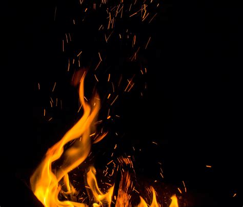 무료 이미지 밤 빛나는 것 불꽃 어둠 검은 캠프 불 모닥불 열 화상 석탄 수탉 3185x2714