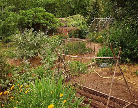 What Is Permaculture Gardening An Intro To Permaculture