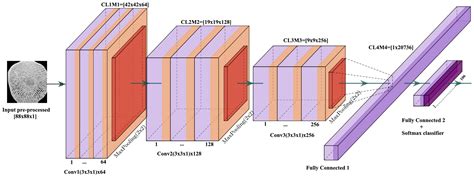 Cnn Convolutional Neural Network A Brief Guide To Cnn Because This