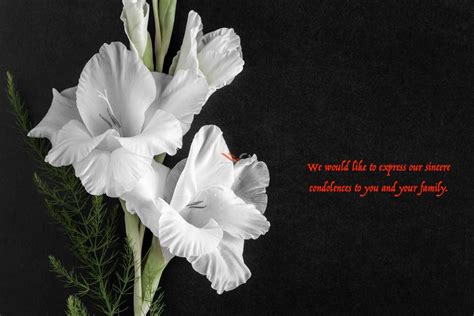To help you get started, here are the best sympathy gifts. Short Condolence Message