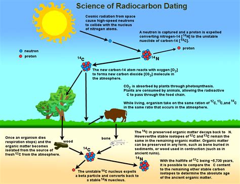 Carbon dating, also known as radiocarbon dating, is a scientific procedure used to date organic matter. Radiocarbon Dating Works On Fossils From Which Time Range ...