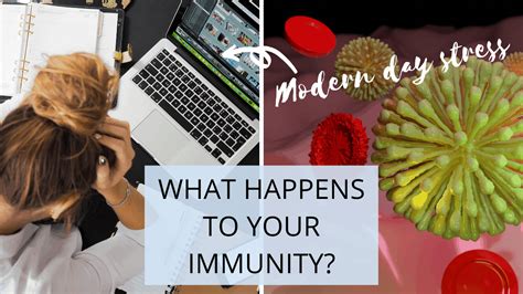 How Modern Day Stress Impairs Your Immune System In Fighting Off Infection Nourish Natural