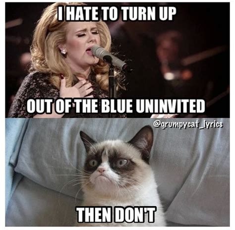 Grumpy Cat Sings Someone Like You By Adele Grumpy Cat Quotes Funny