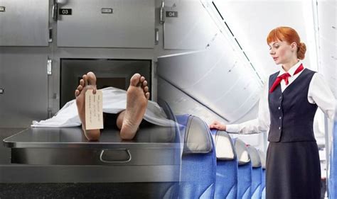 Flights Cabin Crew Recalls Horrifying Time A Dead Body Was Found On A