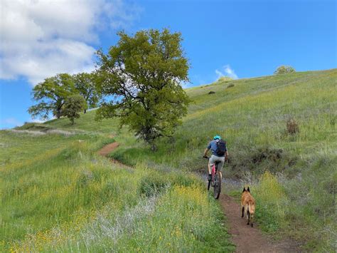 Last booked a day ago. The best mountain bike trails by Sacramento, California