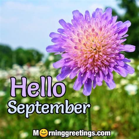 40 Best September Morning Quotes And Wishes Morning Greetings