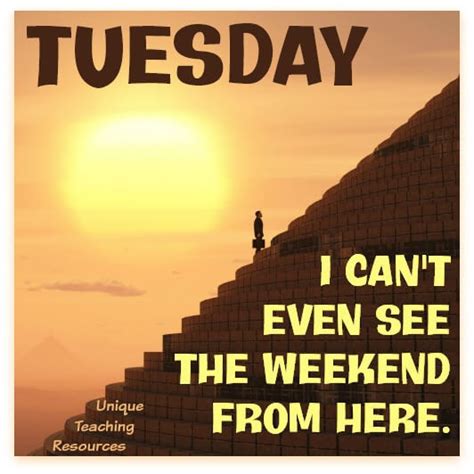Be it adopting these tuesday quotes for work, life, family or study, hopeful you will find positivity in it. 15+ Sayings and Quotes about Tuesday