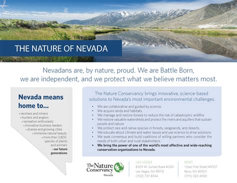 The Nature of Nevada