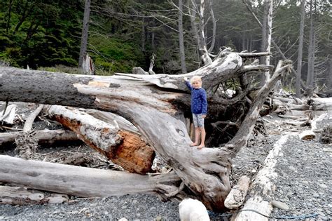 Some of the campgrounds that are closest to our favorite things to do in olympic national park include… Rialto Beach, Washington + Hole in the Wall hike on the ...