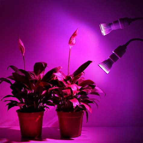 Do You Need Full Spectrum Grow Light Just As Important As