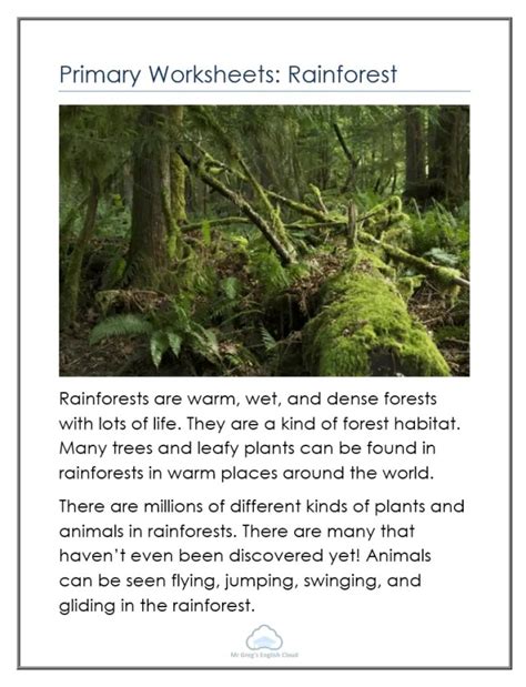 Primary Worksheets Rainforest Mr Gregs English Cloud