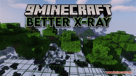 Better X Ray Resource Pack 1minecraft