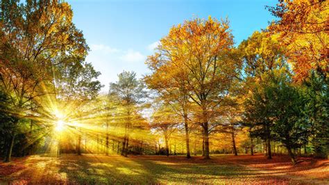 Autumn Equinox The Science Behind The First Day Of Fall Fall Foliage