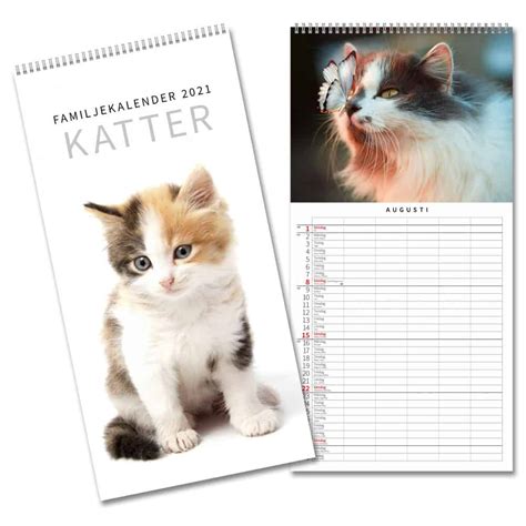 Familjekalender Katter 2021 Köp Almanacka Online Specialbutik För