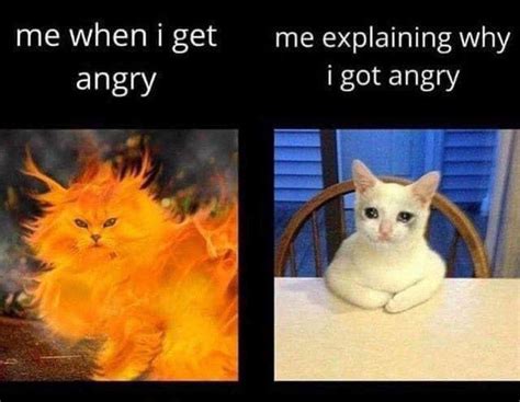 Me When I Get Angry Vs When Explaining Why I Got Angry Keep Meme